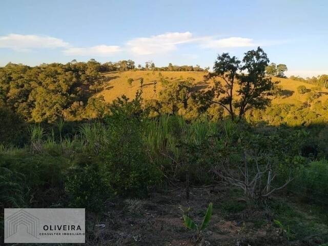Venda em Piraporão - Piedade