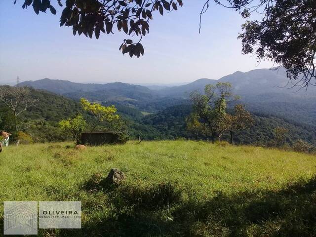 #81 - Área / lotes / Terrenos para Venda em Santana de Parnaíba - SP - 3