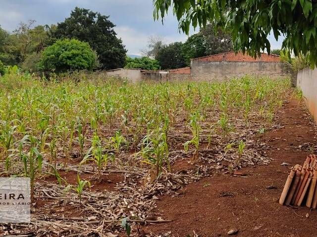 #93 - Área / lotes / Terrenos para Venda em Araçoiaba da Serra - SP - 1