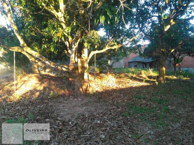 Chácara para Venda em Araçoiaba da Serra - 5