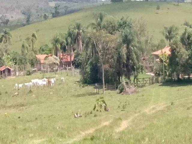 Venda em Bairro Varginha - Itapetininga