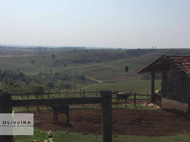 #139 - Fazenda para Venda em Alambari - SP