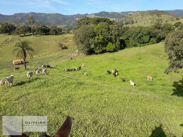 #157 - Sítio para Venda em São João da Boa Vista - SP - 1