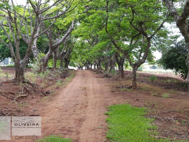 #158 - Sítio para Venda em Boituva - SP - 2