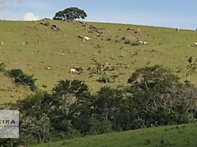 #173 - Sítio para Venda em Pilar do Sul - SP