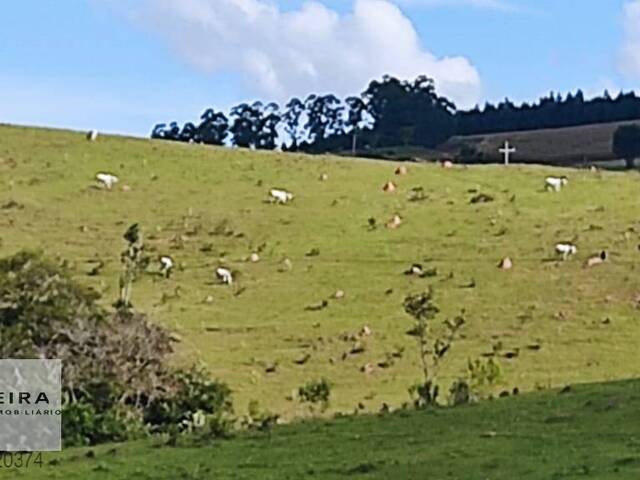 Venda em Rural norte - Pilar do Sul