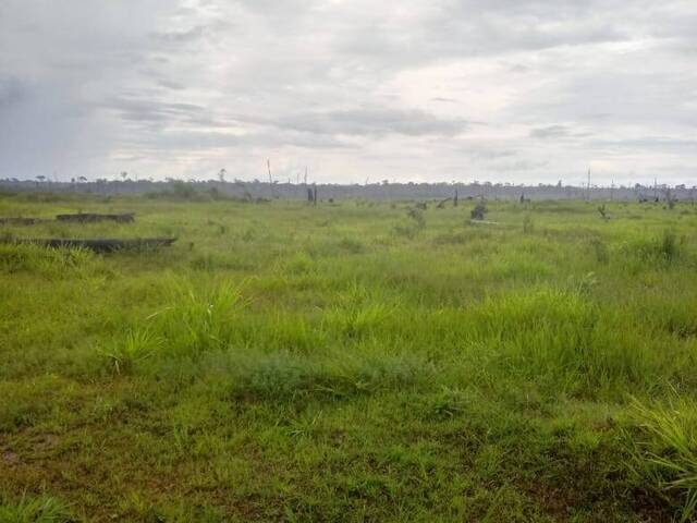 #180 - Fazenda para Venda em Aripuanã - MT