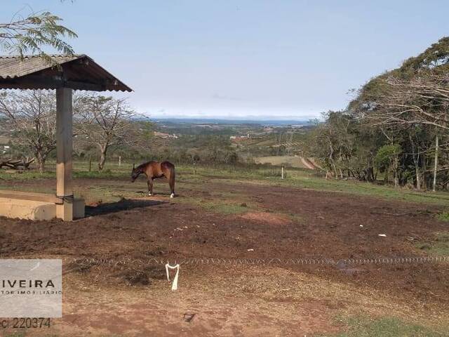 #187 - Fazenda para Venda em Pilar do Sul - SP - 3