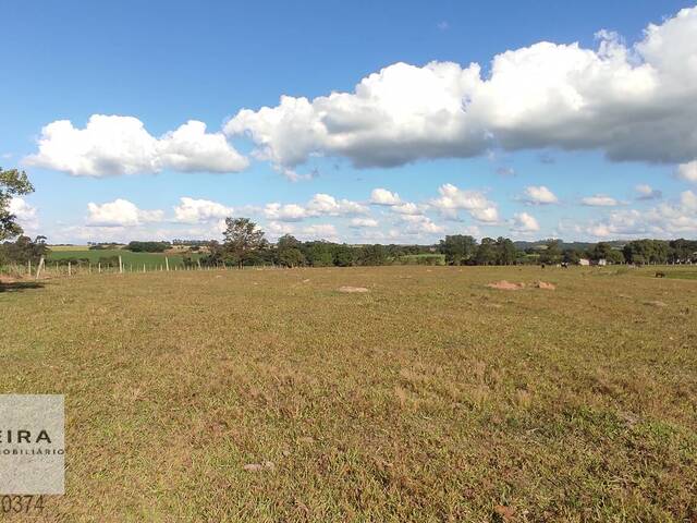 #194 - Sítio para Venda em Itapetininga - SP - 3