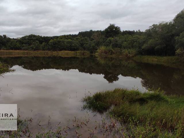 #213 - Sítio para Venda em Salto de Pirapora - SP - 1