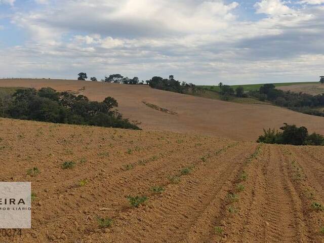 #220 - Área / lotes / Terrenos para Venda em Araçoiaba da Serra - SP - 2