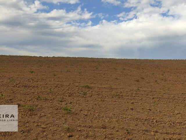 #220 - Área / lotes / Terrenos para Venda em Araçoiaba da Serra - SP - 1