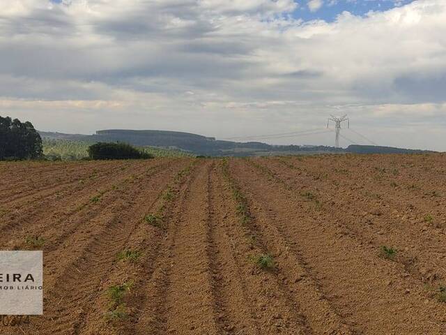 #220 - Área / lotes / Terrenos para Venda em Araçoiaba da Serra - SP - 3