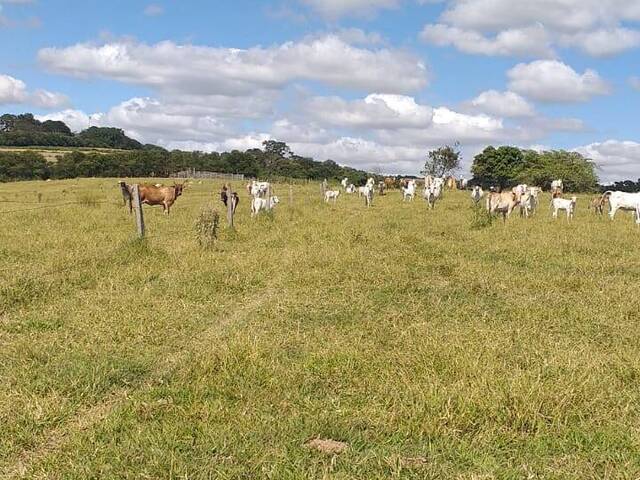 #221 - Área / lotes / Terrenos para Venda em Sorocaba - SP - 1