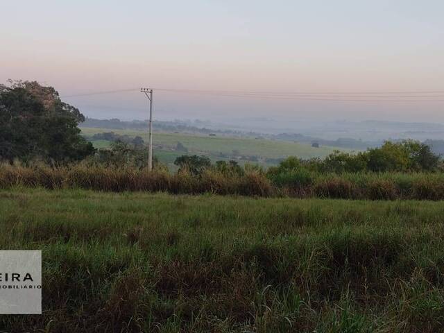 #230 - Área / lotes / Terrenos para Venda em Porto Feliz - SP - 1