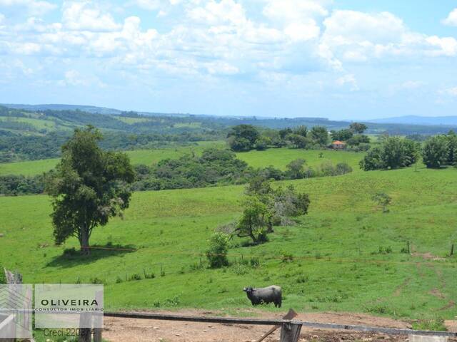 #48 - Fazenda para Venda em Itapetininga - SP