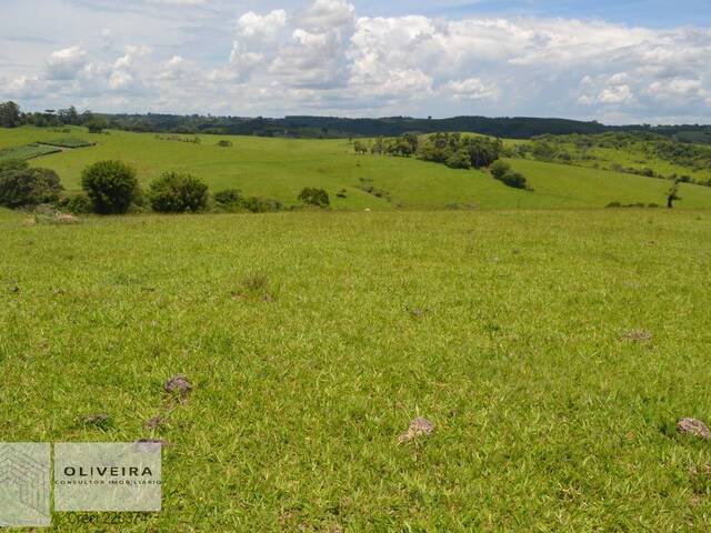 #48 - Fazenda para Venda em Itapetininga - SP