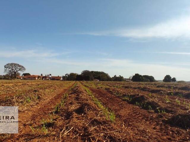 #241 - Área / lotes / Terrenos para Venda em Sorocaba - SP - 3