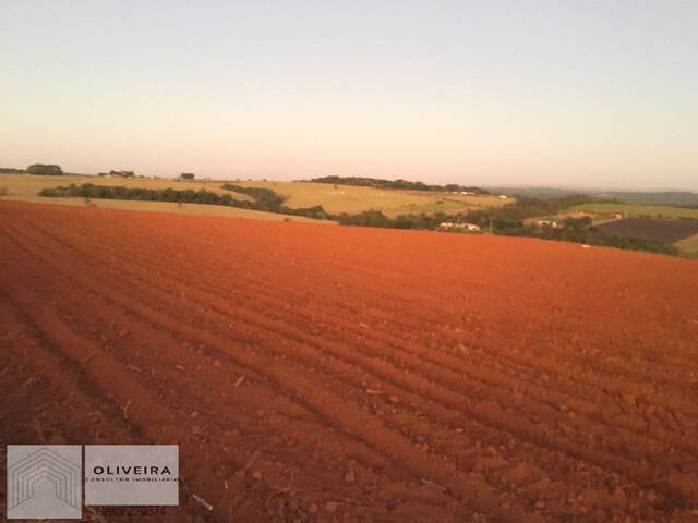 #2 - Área / lotes / Terrenos para Venda em Araçoiaba da Serra - SP - 1