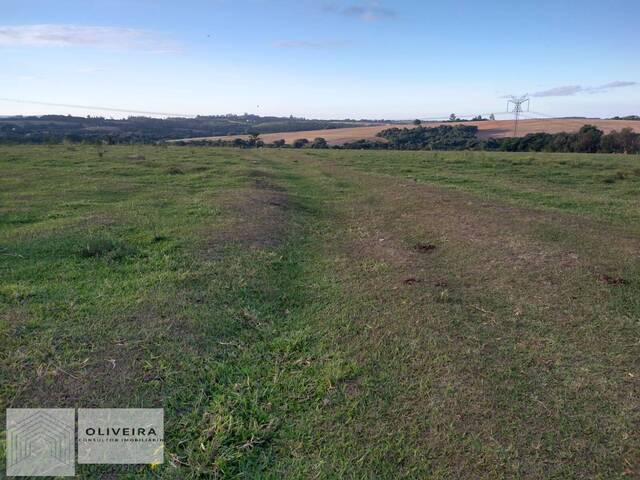 #252 - Área / lotes / Terrenos para Venda em Salto de Pirapora - SP - 2