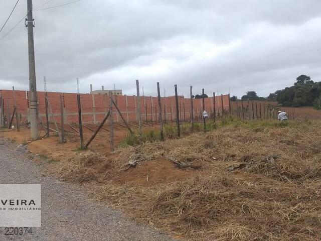 #218 - Área / lotes / Terrenos para Venda em Araçoiaba da Serra - SP - 2