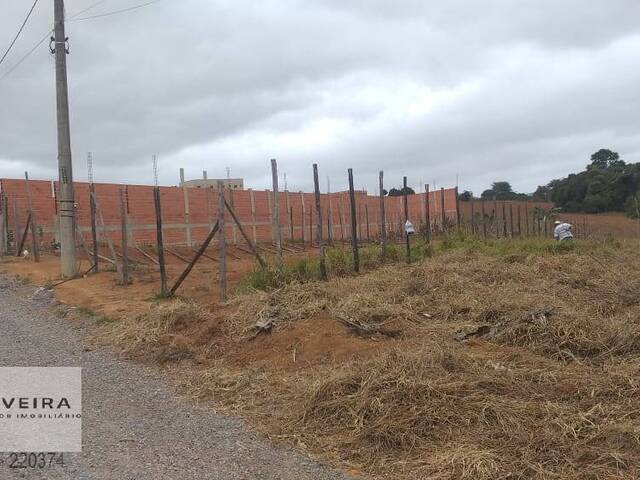 #218 - Área / lotes / Terrenos para Venda em Araçoiaba da Serra - SP