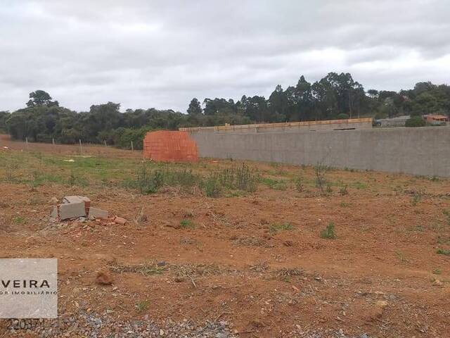 #218 - Área / lotes / Terrenos para Venda em Araçoiaba da Serra - SP