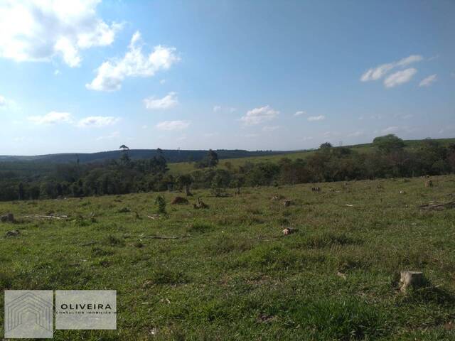 #270 - Chácara para Venda em Araçoiaba da Serra - SP - 3