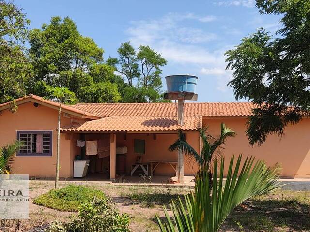 Venda em Cerrado - Alambari
