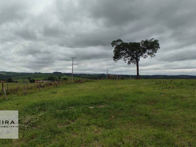 #287 - Área / lotes / Terrenos para Venda em Porto Feliz - SP - 3