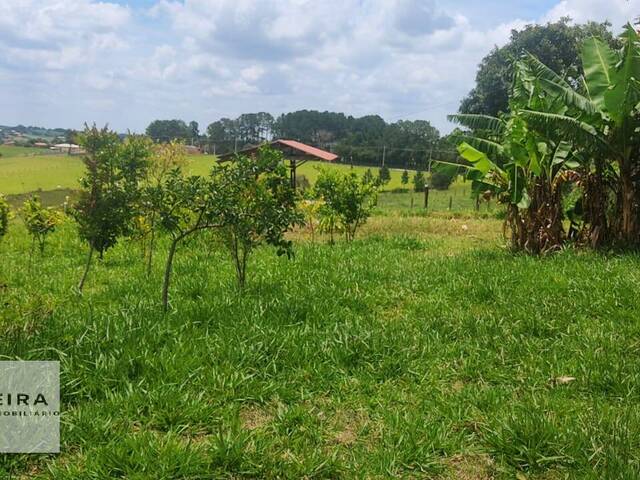 #291 - Chácara para Venda em Araçoiaba da Serra - SP - 1