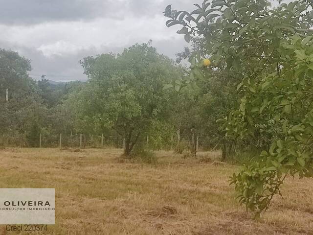 #300 - Área / lotes / Terrenos para Venda em Araçoiaba da Serra - SP - 2