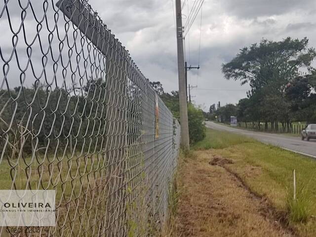 #300 - Área / lotes / Terrenos para Venda em Araçoiaba da Serra - SP