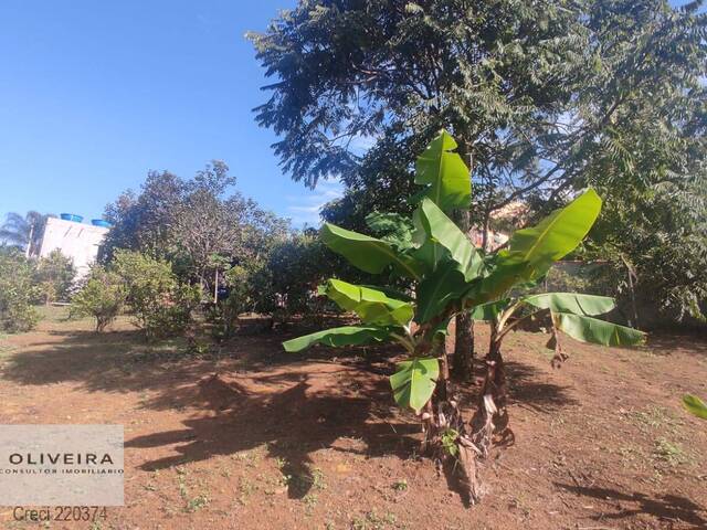 Chácara para Venda em Araçoiaba da Serra - 4