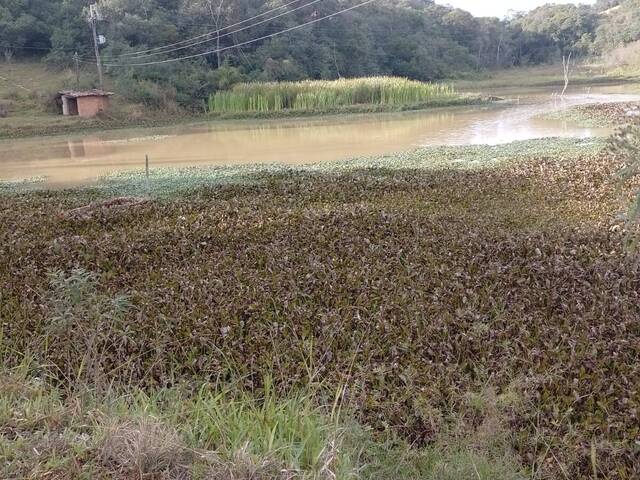 #325 - Chácara para Venda em Piedade - SP - 3