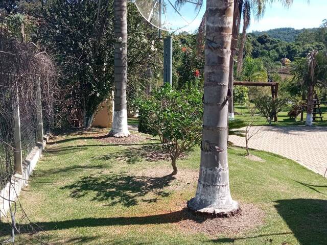 Venda em Leites - Piedade