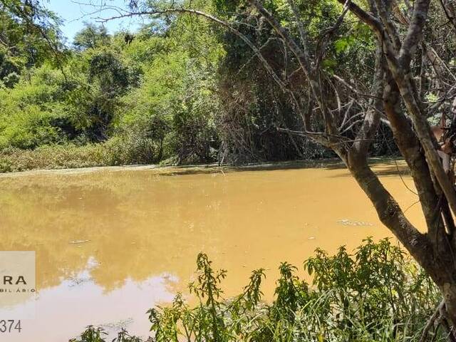 Fazenda para Venda em Piedade - 5