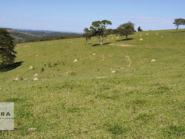 #329 - Fazenda para Venda em Piedade - SP - 1