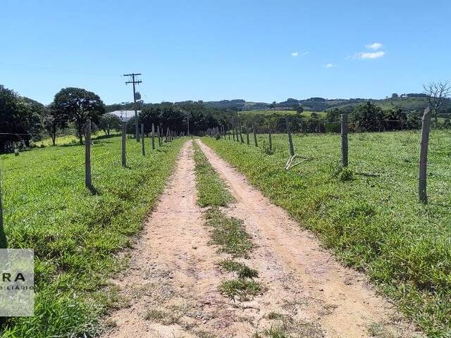 Venda em bairro dos Leites - Piedade