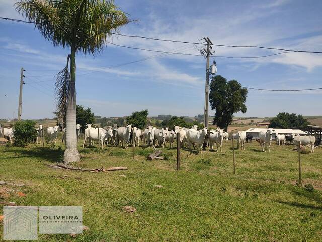 Sítio para Venda em Alambari - 5