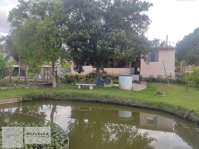 Venda em Leites - Piedade