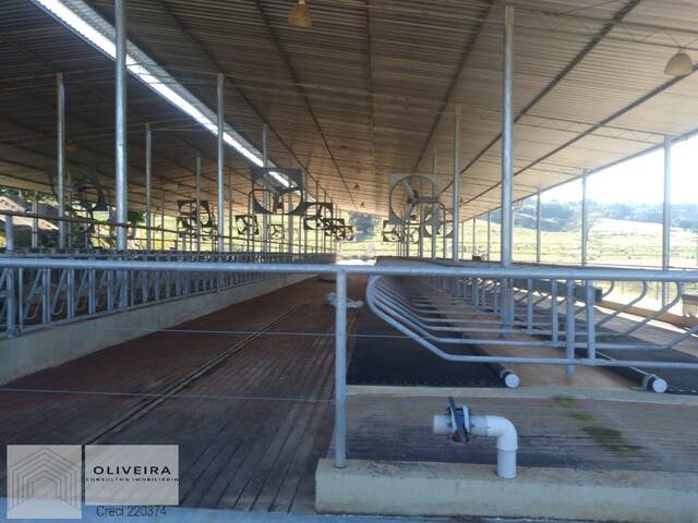 Fazenda para Venda em Angatuba - 5