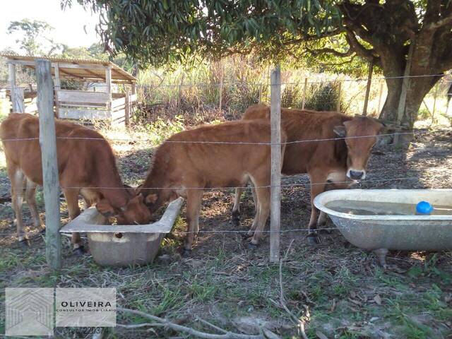Chácara para Venda em Araçoiaba da Serra - 4