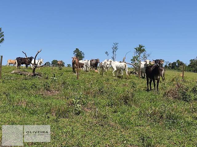Sítio para Venda em Alambari - 5