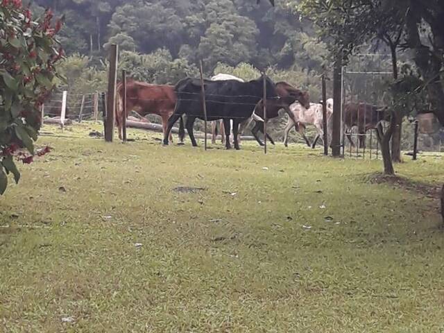 #345 - Chácara para Venda em Angatuba - SP - 2