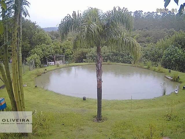 #347 - Chácara para Venda em Alambari - SP - 1