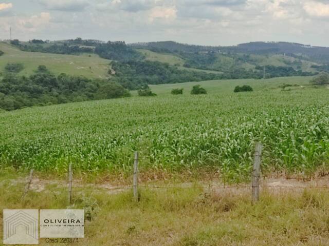 #358 - Chácara para Venda em Araçoiaba da Serra - SP - 2