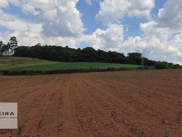 Venda em Paineiras - Piedade