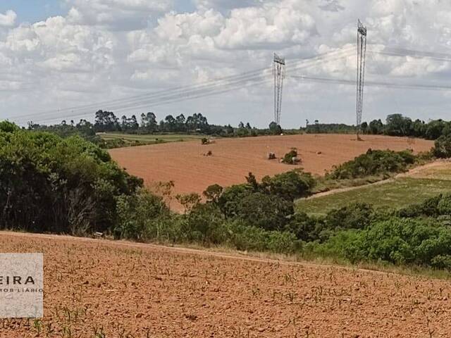 Sítio para Venda em Piedade - 5