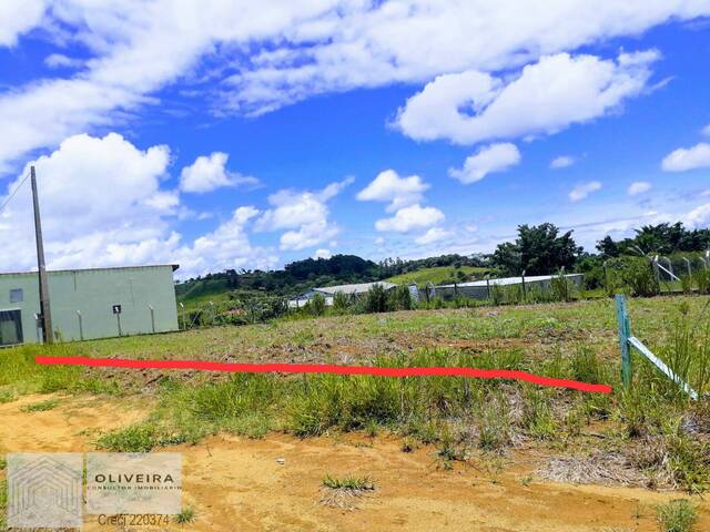 #361 - Área / lotes / Terrenos para Venda em Araçoiaba da Serra - SP - 1